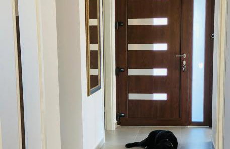 Villa Fluggi near Labin - Foto 57