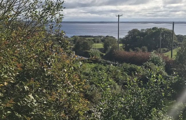 Carraigin Ban - Foto 37