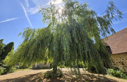 Campagne normande en famille - Foto 7