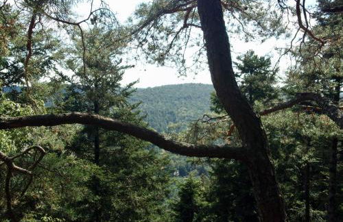 Home-sweet-home - Photo 28