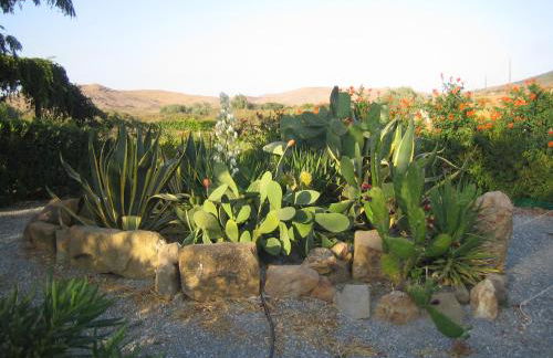 Caviro on the Beach - Foto 32