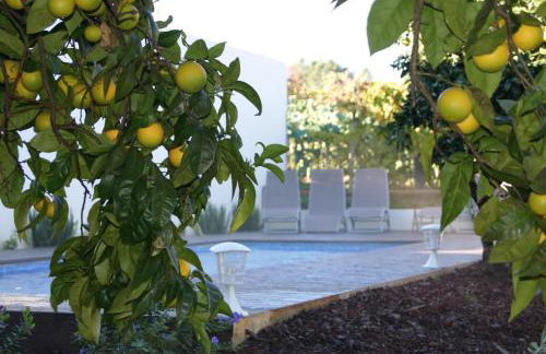 Casa De Santo Antão - Turismo Rural - Foto 18