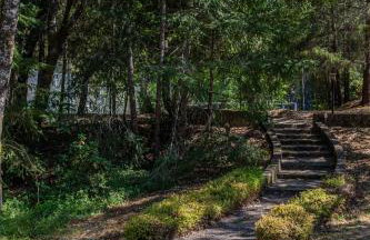 10 Acre Estate with Views Teahouse and Pickleball Court - Foto 68