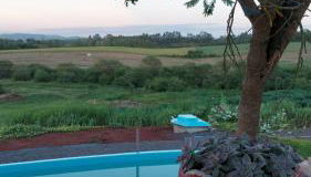 Acomodação do Viveiro Bela Flor - Photo 5