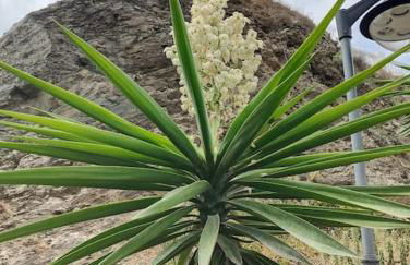 Benalmádena Apartment 66m2 terrace 16m2 sea view 200m from the beach - Foto 23