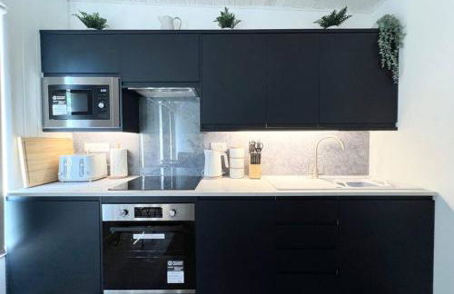 Little Haven Too, one bed chalet in Dartmouth - Foto 12