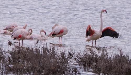 Holiday Home El Patio - Foto 5