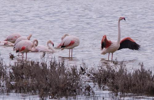 Holiday Home El Patio - Foto 5