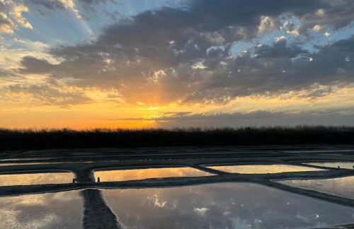 Villa TEYO Le Bois Plage en Ré - Foto 46