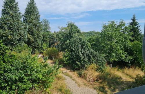 Naturnahes Wohnen in einem alten Haus mit Garten - Foto 51
