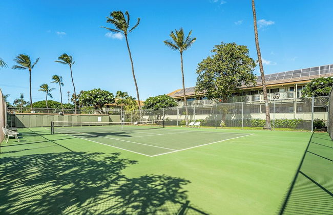 Kihei Bay Surf 227 - Photo 14