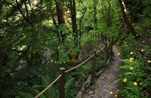 Kingfisher - Foto 33