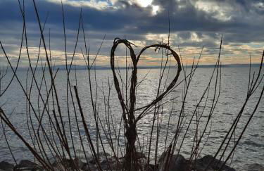 Ferienhaus Vogt - Foto 33