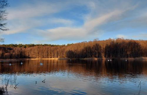 Calm House Krzynia - dom nad jeziorem do wynajęcia - Foto 24