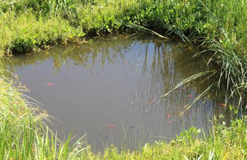 Haus Fischernetz - Foto 19