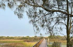 Apartamento aconchegante perto do mar - Photo 16