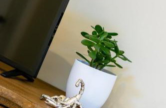 1 Bed in Trimley St. Martin nr Felixstowe oc-obat - Foto 22