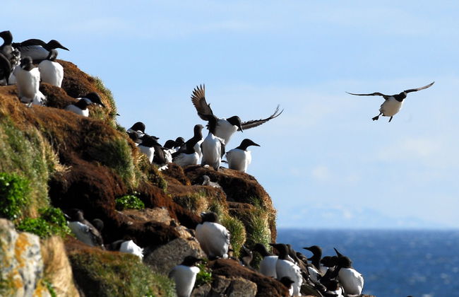 Ekker Island Arctic Lodge - Photo 55