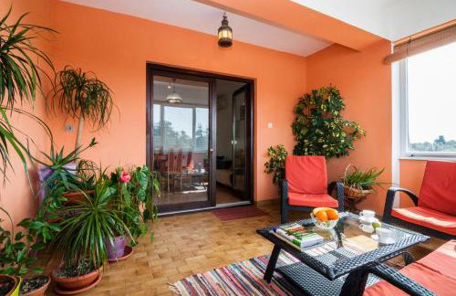 Apartments Cvita Ugljan - Foto 43