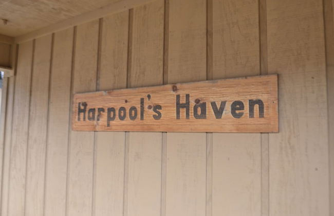 Echo Canyon Resort & Marina - Foto 39