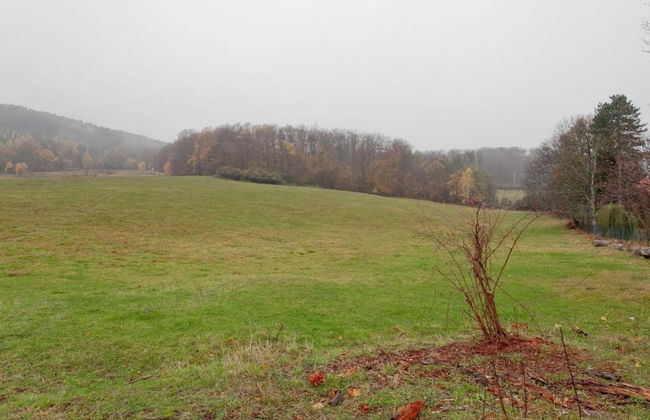 Apartment in Harz With Terrace and Fireplace - Photo 20