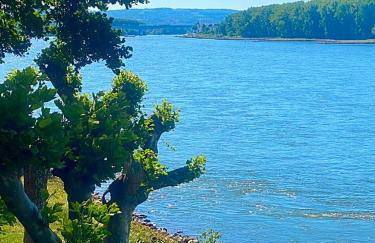 Ferienhaus Schmidt am Rhein - Foto 32