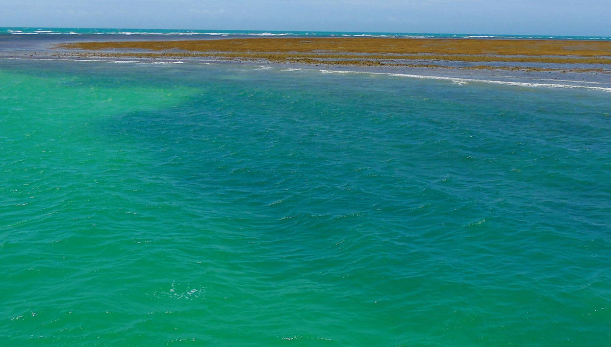 Excursión al Parque Marino de Recife de Fora