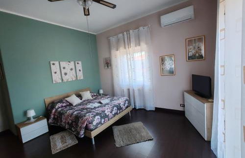 Il tulipano - Foto 1