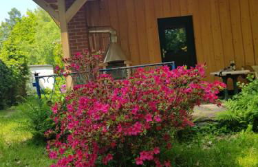 Waldbadhäusel Naturbad-Bungalow - Photo 1