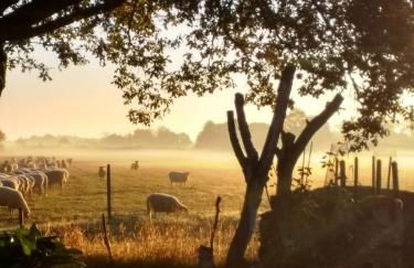 Rose Barn - Adorable country home with private pool - Foto 31