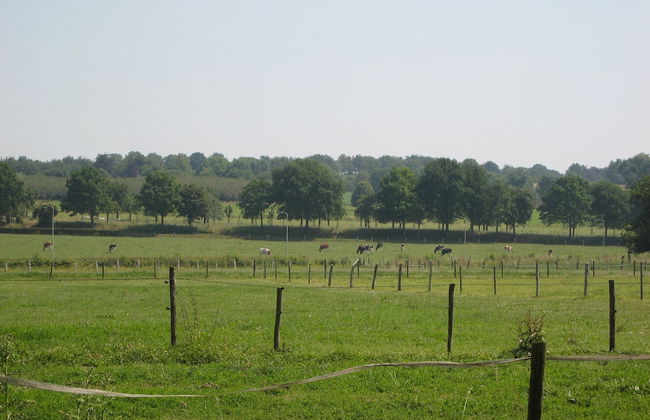 Welcoming Apartment near Town Center in Mesch - Foto 30