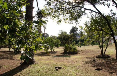 Pousada Bom Pastor - Foto 35