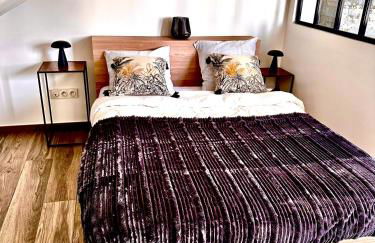 Annecy calme proche centre parking gratuit - Foto 27