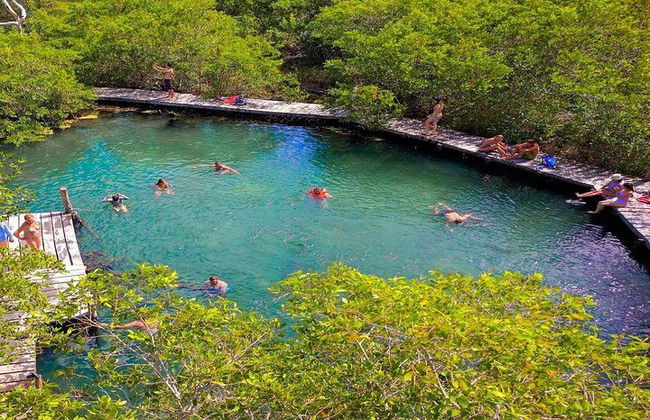Ganztägige Tour nach Holbox und Passion Island mit Cenote, Transport und Mittagessen - Foto 10