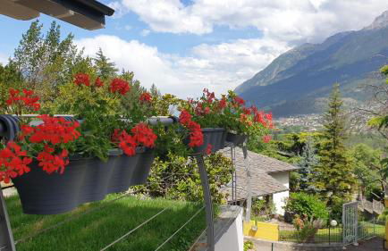 Oasi verde - Foto 11