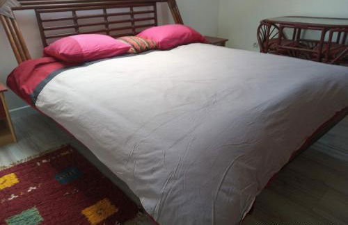 Grand duplex en centre ville pour 10 personnes et plus - Foto 13