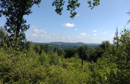 Am Bergischen Panoramasteig - Foto 29