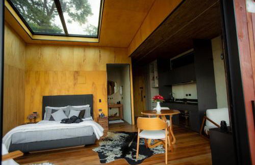 Cabana Tekoá - Teto de vidro e telão de cinema - Foto 19