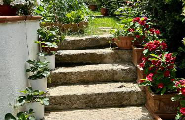 Alto Giardino - Foto 28