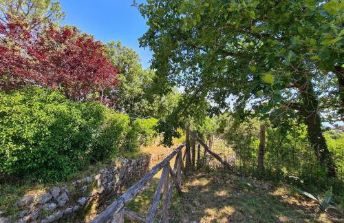 Torre medievale Il Castellaccio - Foto 41