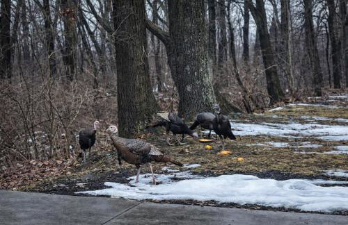 RiverEdge Haven Hot Tub, 5 Beds, Kayaks Near ND - Foto 70