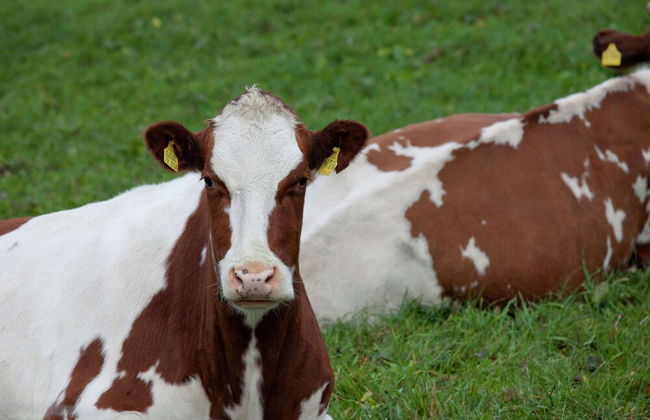 Charming Home in Winterstein - Foto 28