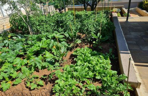 Apartman Talija - Foto 25