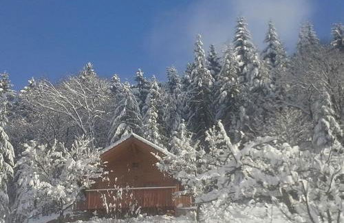 Ferienhof Fischer - Foto 65