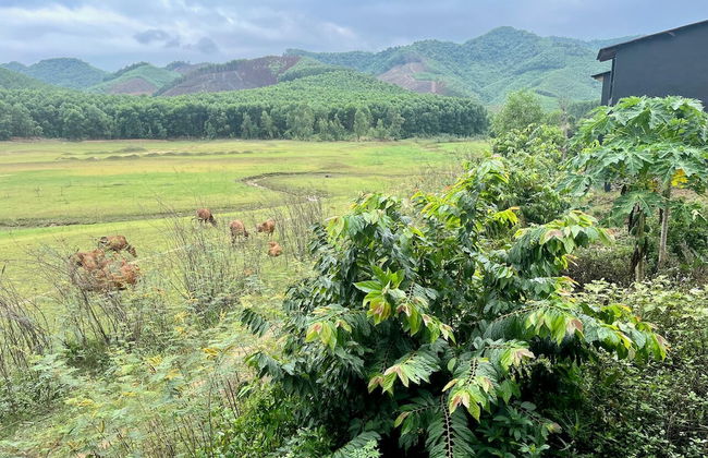 Nguyen Shack Retreat - Foto 72