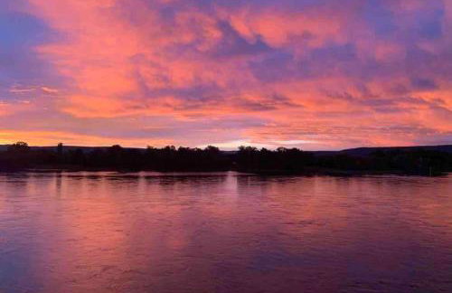 Modernes Apartment mit Wunderschönem Rheinblick - Foto 16
