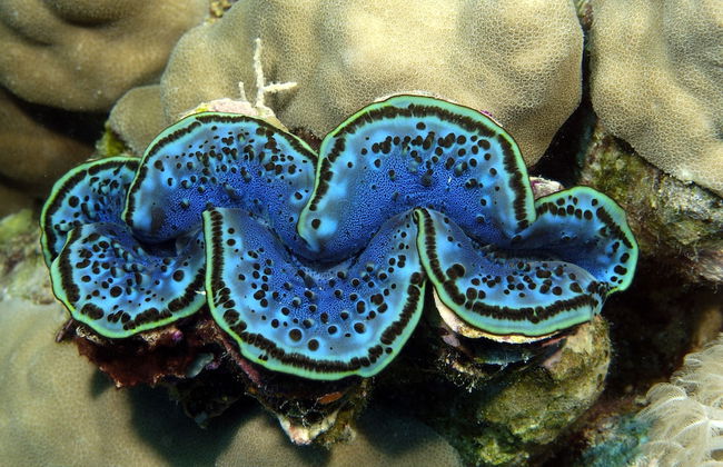 Marina View Residence - Foto 26