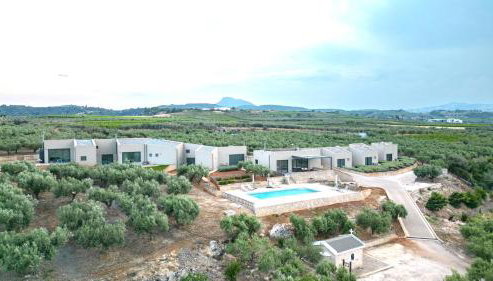 The Olive Hill - Foto 2