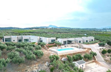The Olive Hill - Foto 2