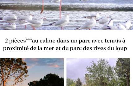 Parc Baie des Anges - Foto 42